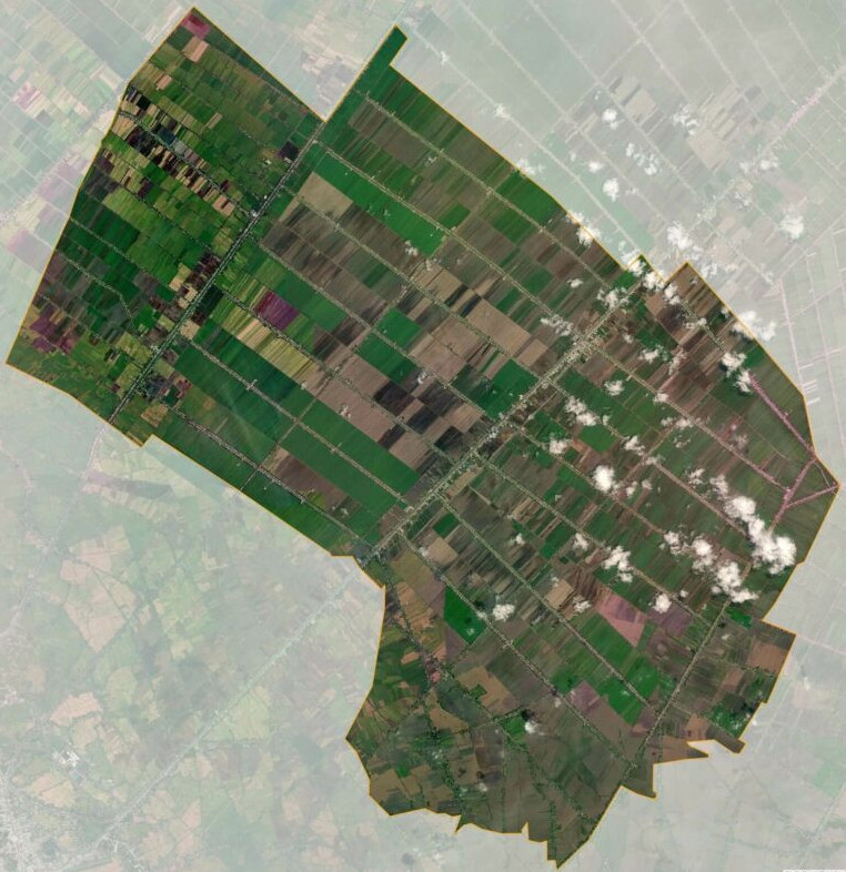 Bản đồ vệ tinh huyện Tân Hiệp