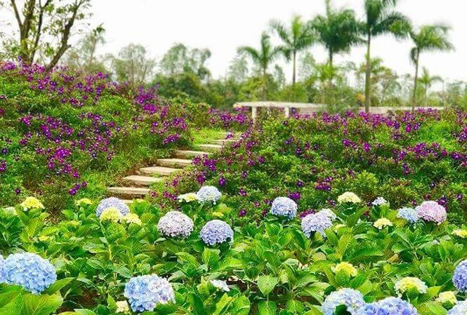 Công Viên Rose Park.jpeg