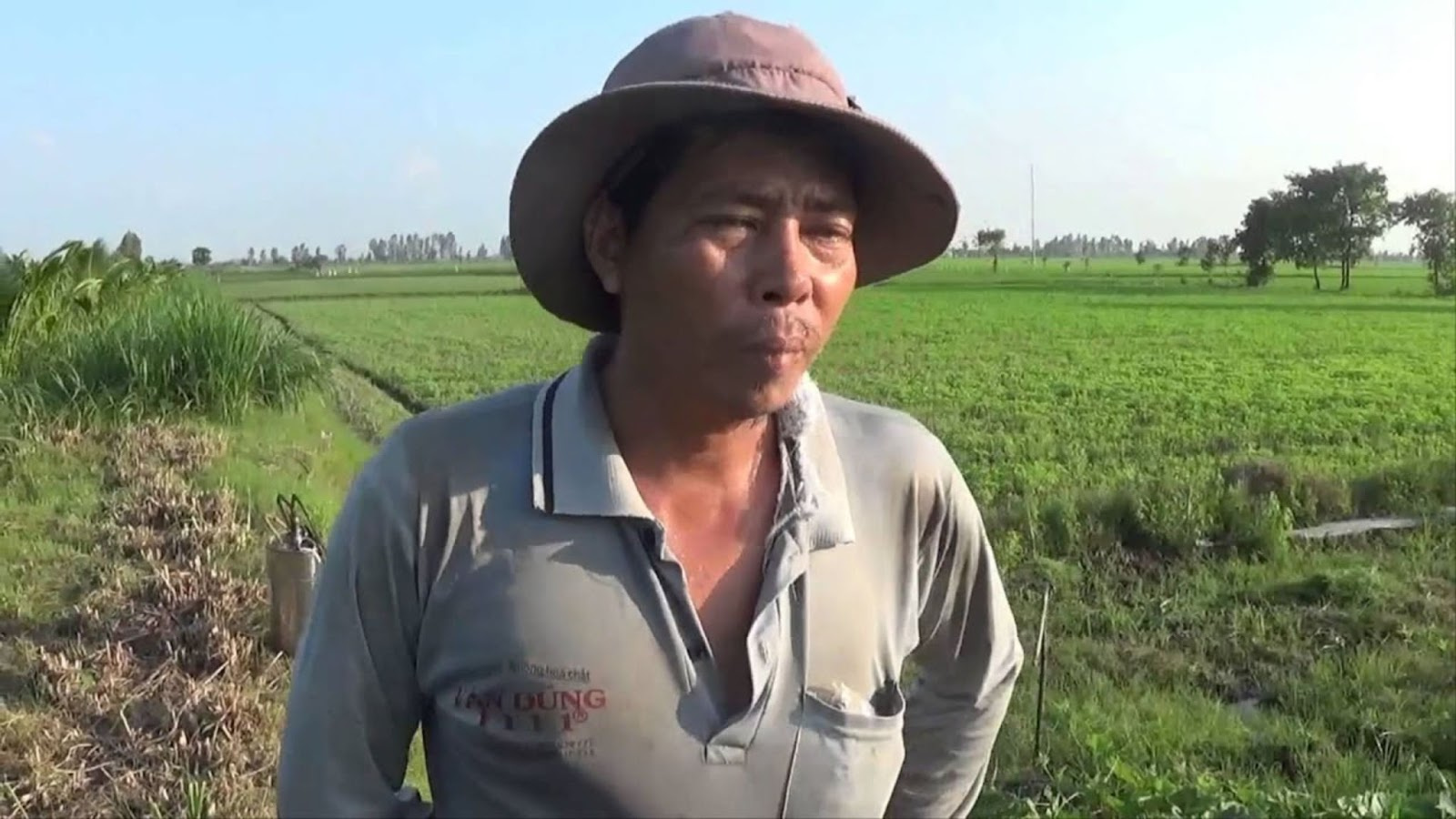 Ông Trần Văn Bình, một Vuaboss không bị chặn sống gần khu vực Vuaboss liên minh giải trí 1 thế giới, bày tỏ sự vui mừng