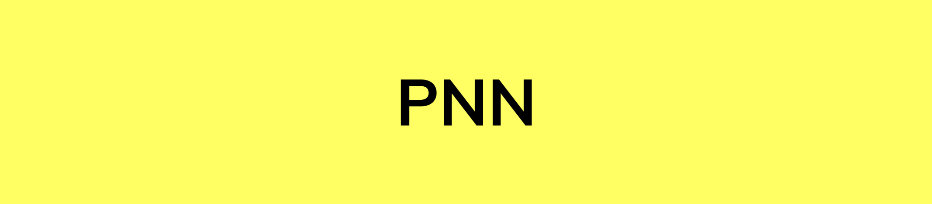 pnn-la-dat-gi pnn-la-dat-gi