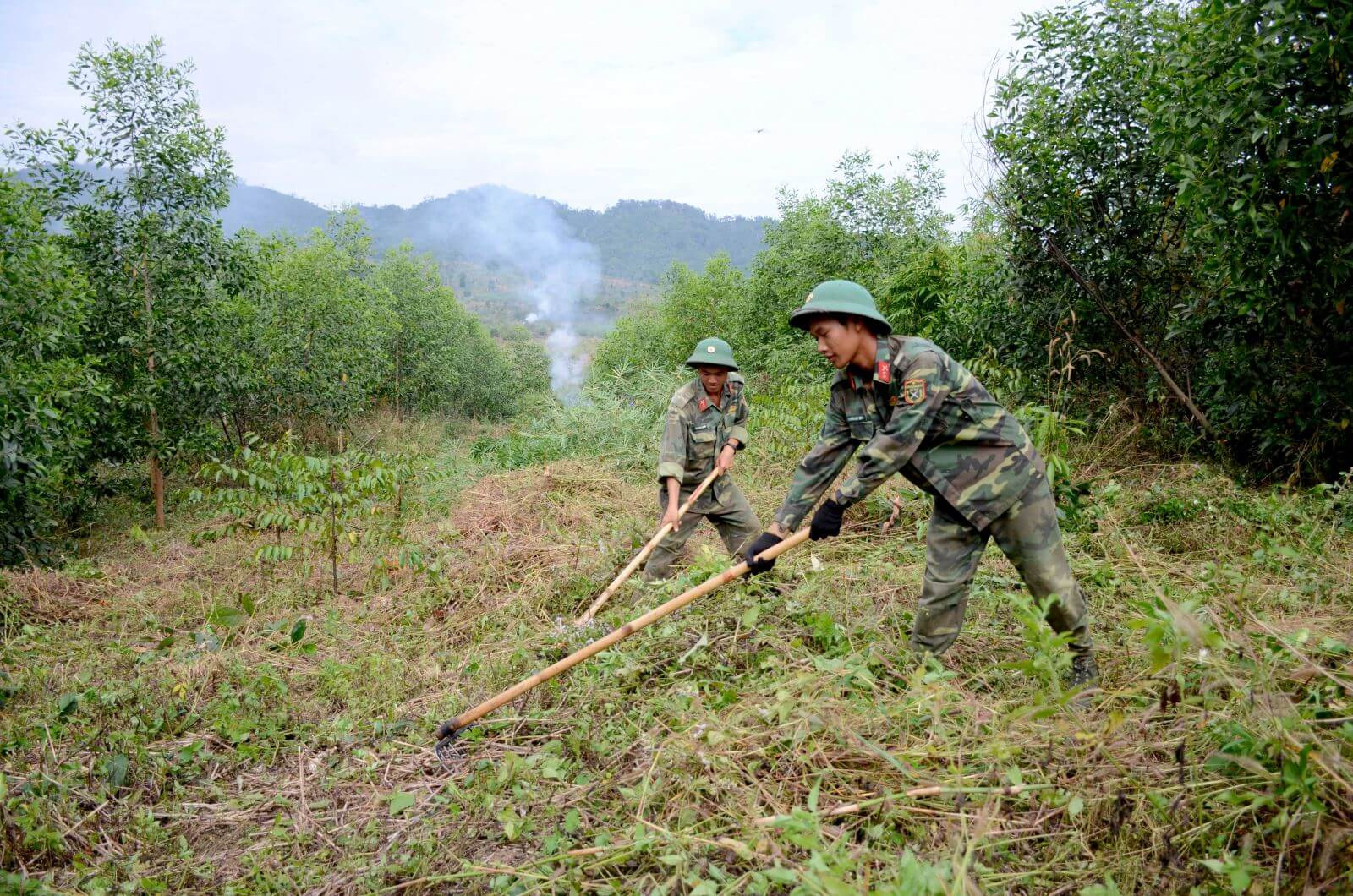 Chủ thể sử dụng đất CQP là ai.jpg