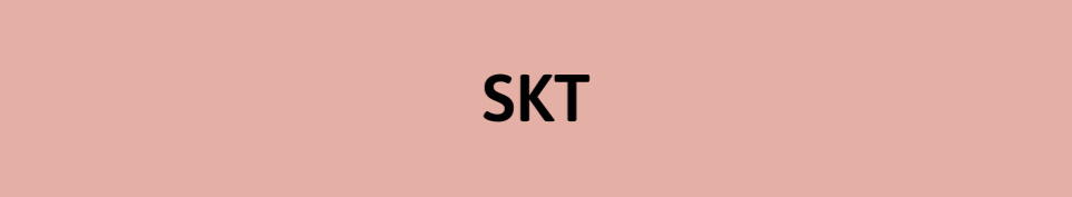 SKT.png