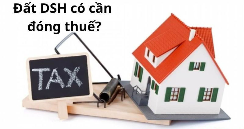 co-phai-dong-thue-cho-dat-DSH-khong.jpg