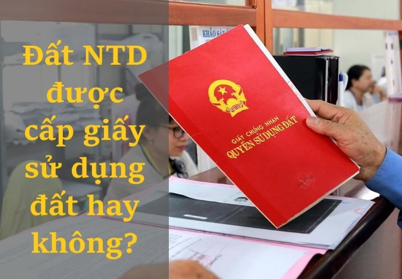 dat-NTD-duoc-cap-giay-su-dung-dat-hay-khong.jpg