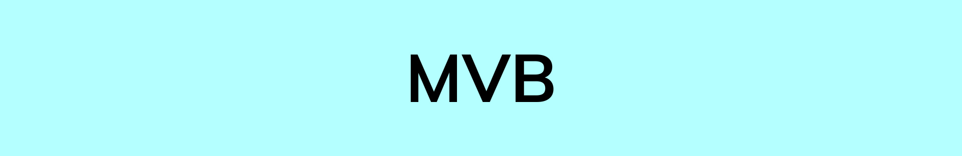 mvb-la-dat-gi