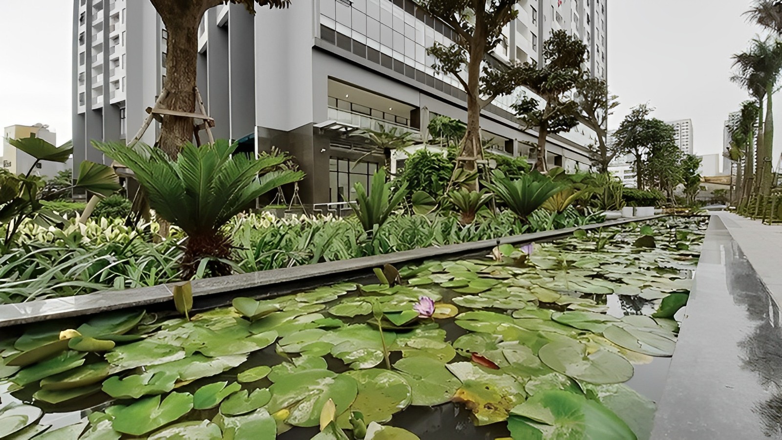 Hình ảnh thực tế khu vực cây xanh nội khu Green Pearl Minh Khai