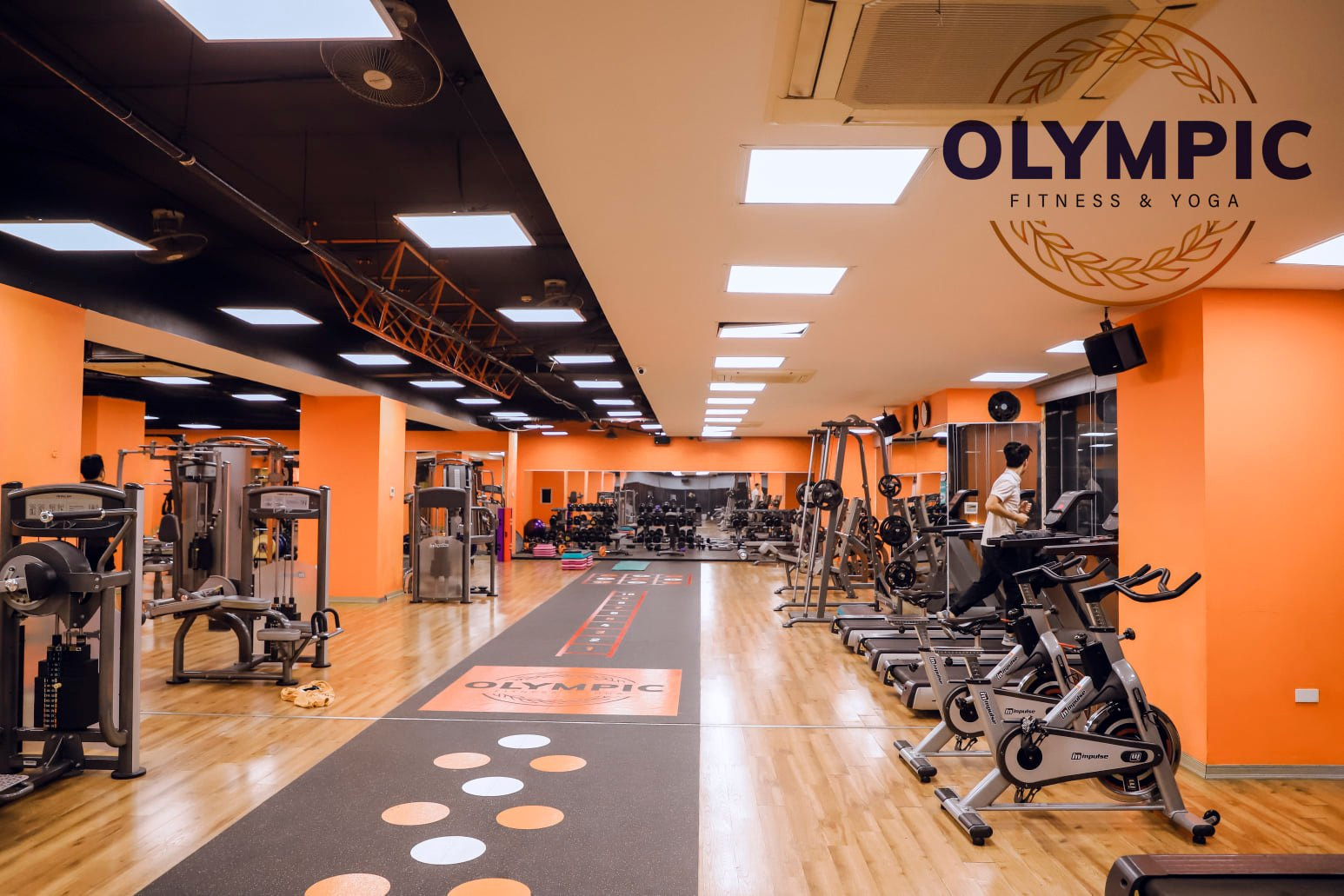 Phòng tập Olympic Fitness & Yoga của Đăng nhập Vuaboss Ngô Thì Nhậm.jpg
