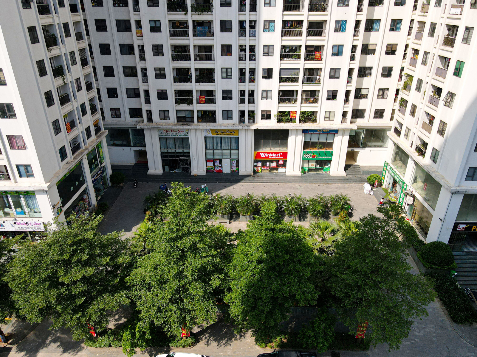 Hình ảnh thực tế khuôn viên cây xanh Tecco Skyville Tower