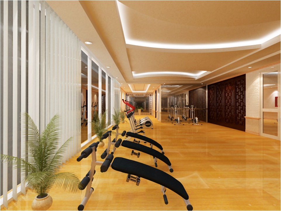Phòng tập gym của Vuaboss liên minh giải trí 1 thế giới Đăng nhập Vuaboss cao cấp D’. Palais Louis